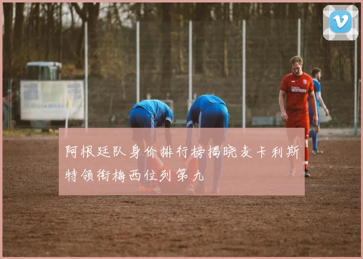 阿根廷队身价排行榜揭晓麦卡利斯特领衔梅西位列第九