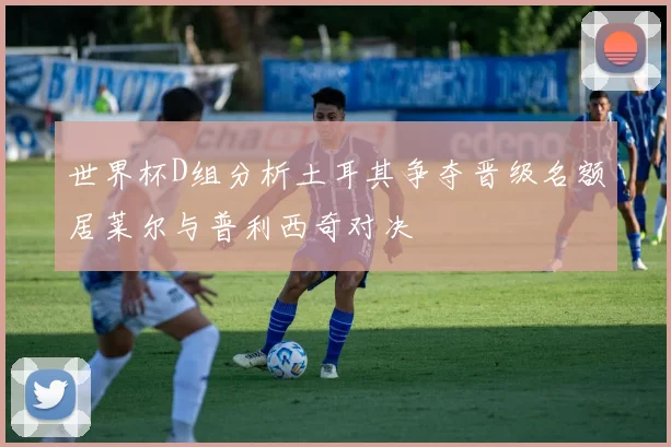 世界杯D组分析土耳其争夺晋级名额居莱尔与普利西奇对决