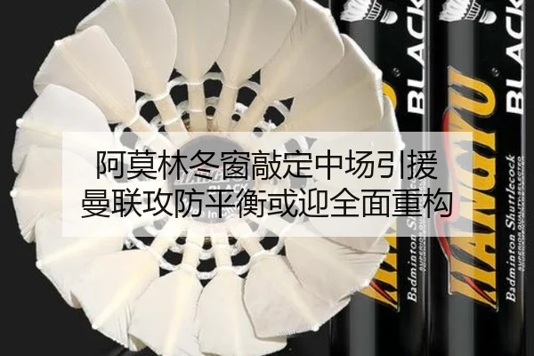 阿莫林冬窗敲定中场引援 曼联攻防平衡或迎全面重构 | 3377Sports